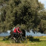 mountain-bike-sardegna-percorsi-gallura