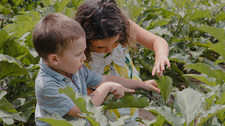 L’orto del resort per un percorso educativo naturalistico