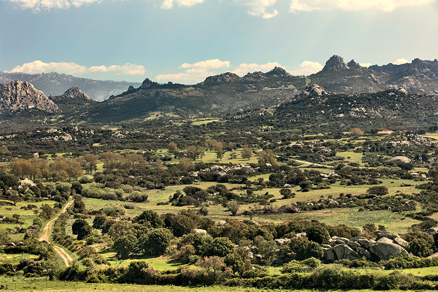 Passeggiata nella Valle della Luna ad Aggius tra gli stazzi galluresi