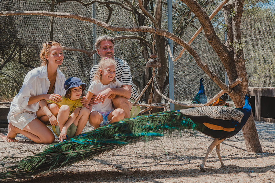 Resort Le Dune, organic garden and aviary. Learning through play